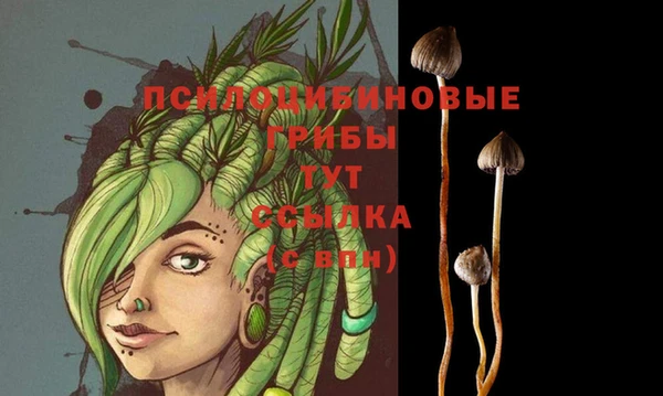 спиды Алексеевка